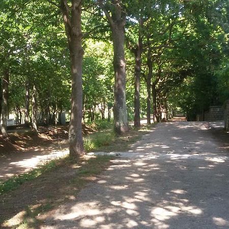 Alloggio Turistico Olmata Montevirginio Екстериор снимка